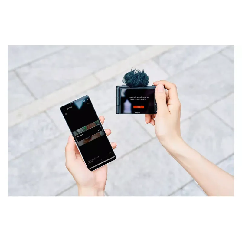 Câmera Sony, Black (ZV1M2B.CE3)