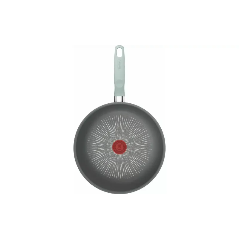 Sartén wok Tefal Halo Eucalyptus, Grey (G0167702)