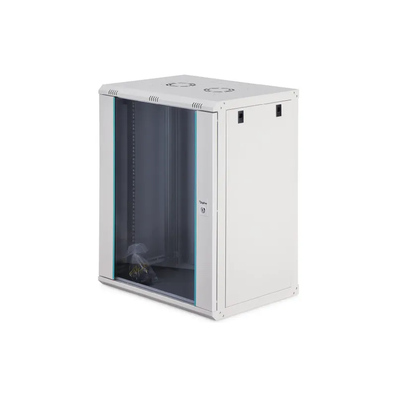 Closet Digitus (DN-37112), Gray