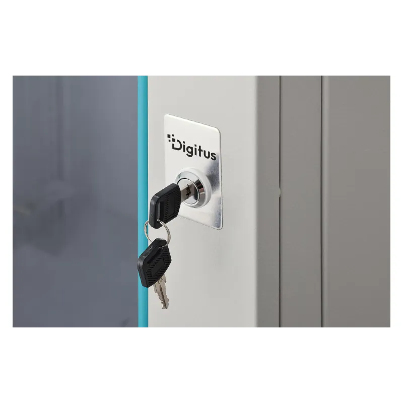 Closet Digitus (DN-37112), Gray