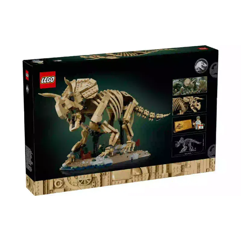 Construtor LEGO (77985)