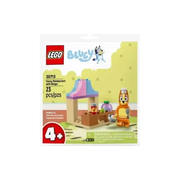 Construtor LEGO (30713)