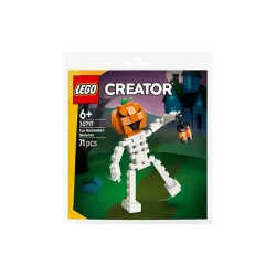 Κατασκευαστής LEGO Creator  (30717)