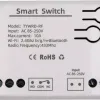 يُحوّل Tuya AC 85-250V 10A (HS084011)