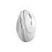 Мышь Genius  White/Grey 8350S (31030041401)