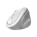 Мышь Genius  White/Grey 8350S (31030041401)