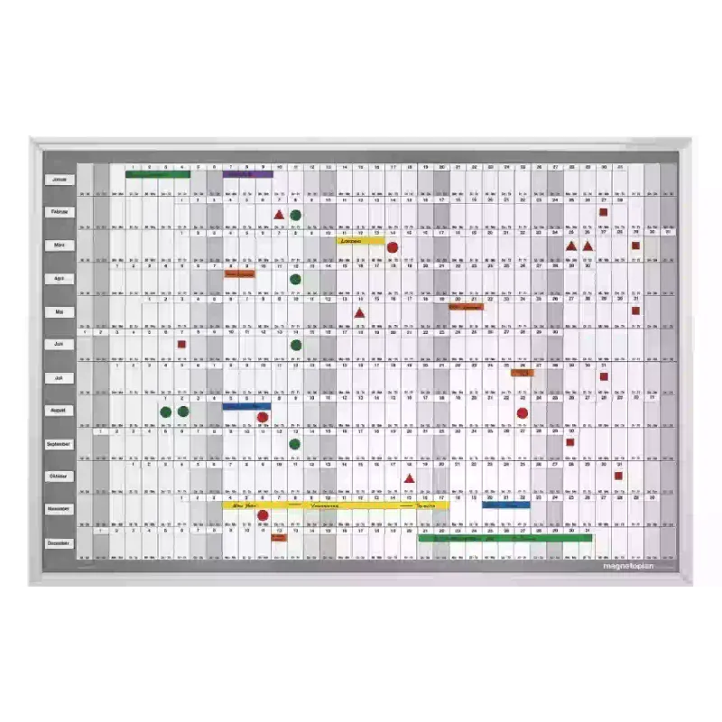 Σχεδιαστής έτους Magnetoplan (12365S)