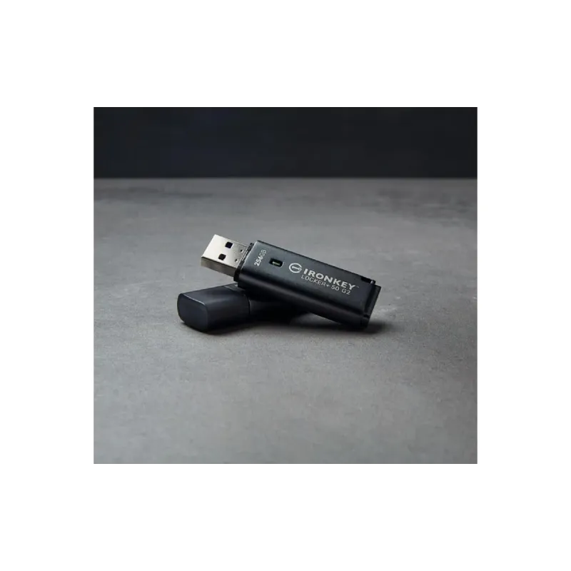 Накопичувач USB Kingston (IKLP50G2/64GB)