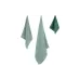 Toalha felpuda Ardesto Ritual, Green (ART2530RG)