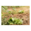 Mangueira de rega 2E AquaFlex Emerald Pro (2E-GHE34ED20)