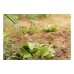 خرطوم الري 2E AquaFlex Emerald Pro (2E-GHE12ED20) خرطوم الري 2E AquaFlex Emerald Pro (2E-GHE12ED20)