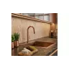 Кухонна мийка Deante Olfato  Precious (ZPO_C10B), Brushed Bronze