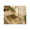 Кухонна мийка Deante Olfato  Precious (ZPO_R10B), Brushed Gold