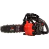 Motosserra a gasolina Vitals Master BKZ 2512a (237011)