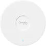 Точка за достъп TP-Link (EAP787)