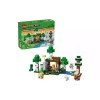 Constructor LEGO (21593)