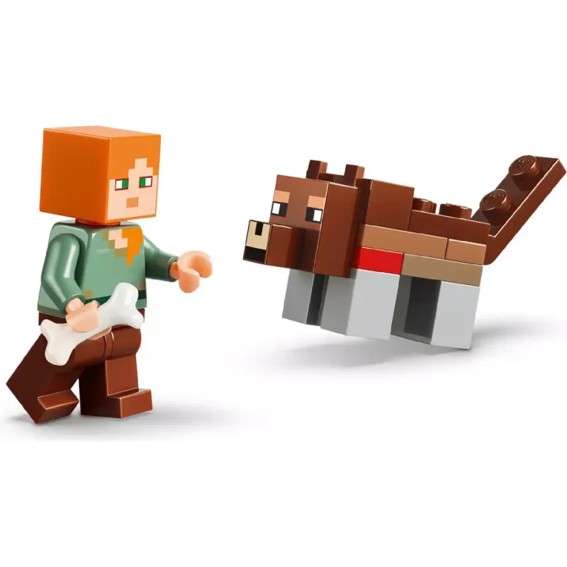 Constructor LEGO (21593)