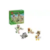 Κατασκευαστής LEGO (21592)