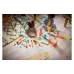 Construtor LEGO (10478)