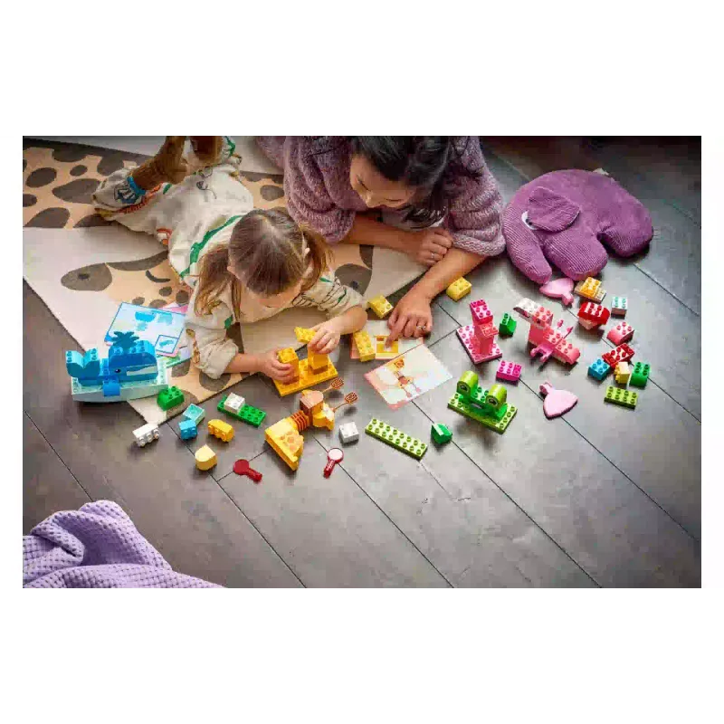 Konstruktor LEGO (10472)