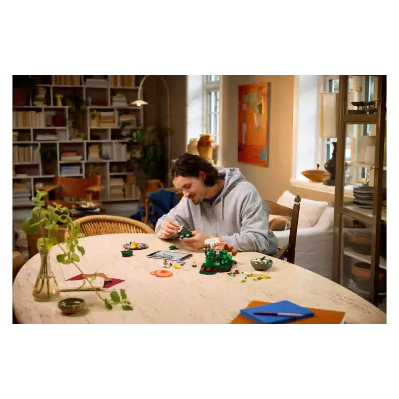 Construtor LEGO (11505)