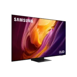 Fernseher Samsung (QE55S90HAEXUA)