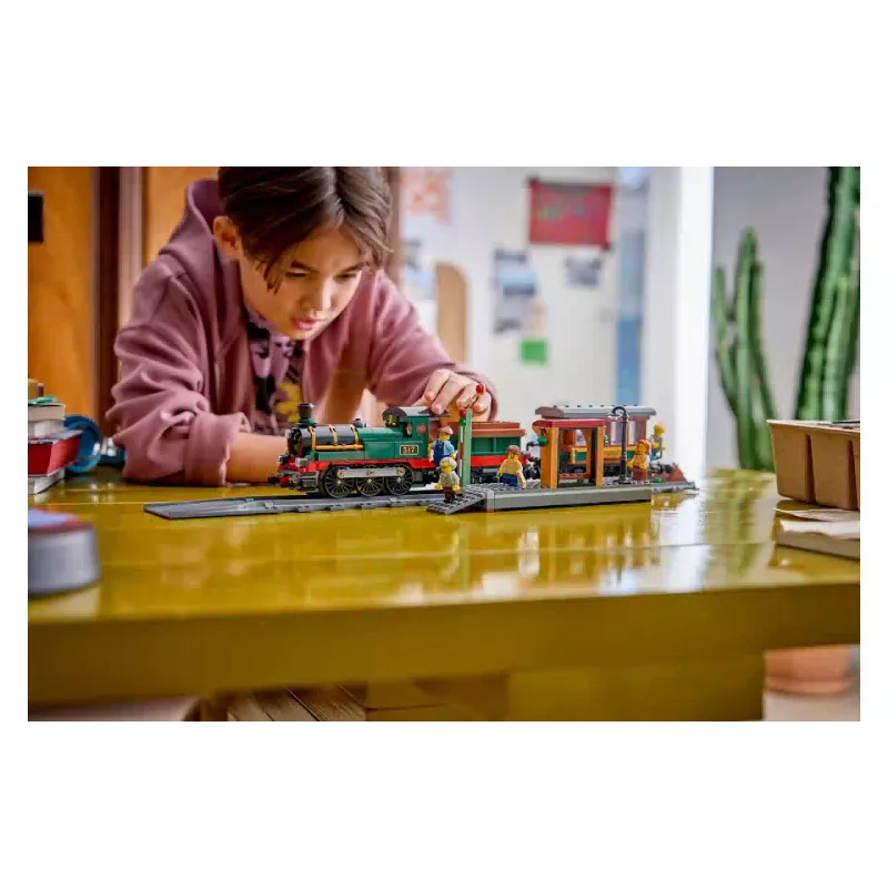 Construtor LEGO (60511-)