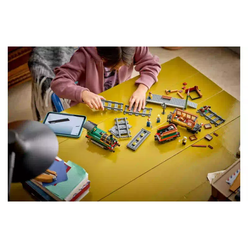 Construtor LEGO (60511-)