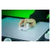 Мишка Razer Viper V4 Pro G3, White (RZ01-05630200-R3G1)