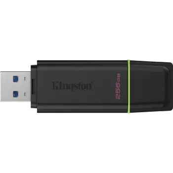 Накопичувач USB Kingston DataTraveler Exodia (DTXG2/256GB), Black/Green