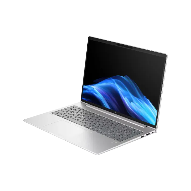 Φορητός υπολογιστής HP Probook 4 G1a, Silver (D4VG3ET)