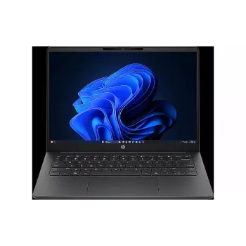 Laptop HP 200 G2a 14" WUXGA 2K/IPS 12Gb/256Gb/R3 210/UMA/DOS Grey (DV0A4ET)