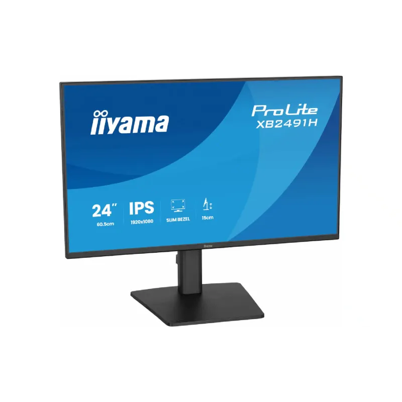 شاشة Iiyama (XB2491H-B1)