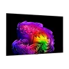 Телевизия LG, Black (OLED83G64LW)