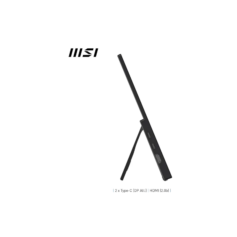 Монітор MSI Pro 15.6"/IPS  MP165-E6 (9S6-3PE50M-001)