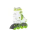 أحذية التزلج Miqilong Lumi 33-36, Green (LSW-HA33-GREEN)
