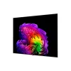 تلفزيون LG, Black (OLED77G64LW)