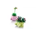 منشئ LEGO Botanicals  (11506)
