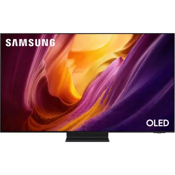 Телевизор Samsung 55" 4K UHD/OLED /Tizen Black (QE55S95HFUXUA)