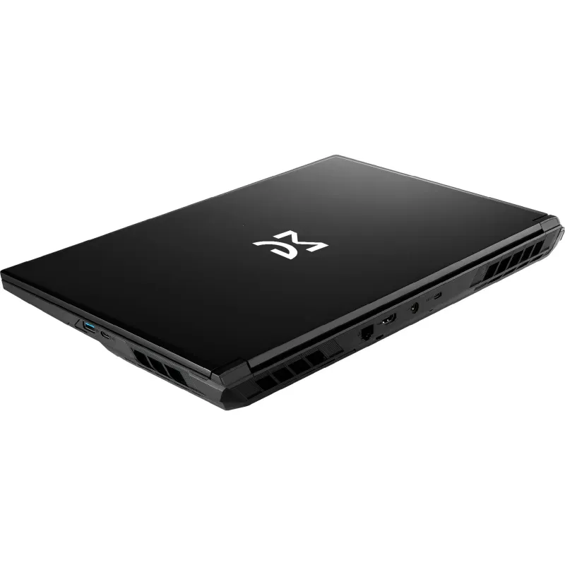 Ноутбук Dream Machines 17.3" QHD/IPS 32Gb/1Tb/i9-14900HX/RTX 5070-8/DOS Black (RG5070-17UA27)