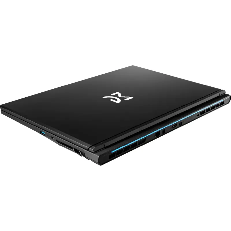 Computador portátil Dream Machines, Black (RT5060-17UA20)