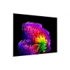 Телевизия LG, Black (OLED83G64LW)