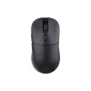 Mouse 2E  Black (2E-MGHDL-WL-BK)