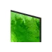 Televizija Samsung (QE75QN80HAUXUA)