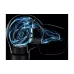 Fones de ouvido intra-auriculares Sony Inzone E9 (IERG900W.E)