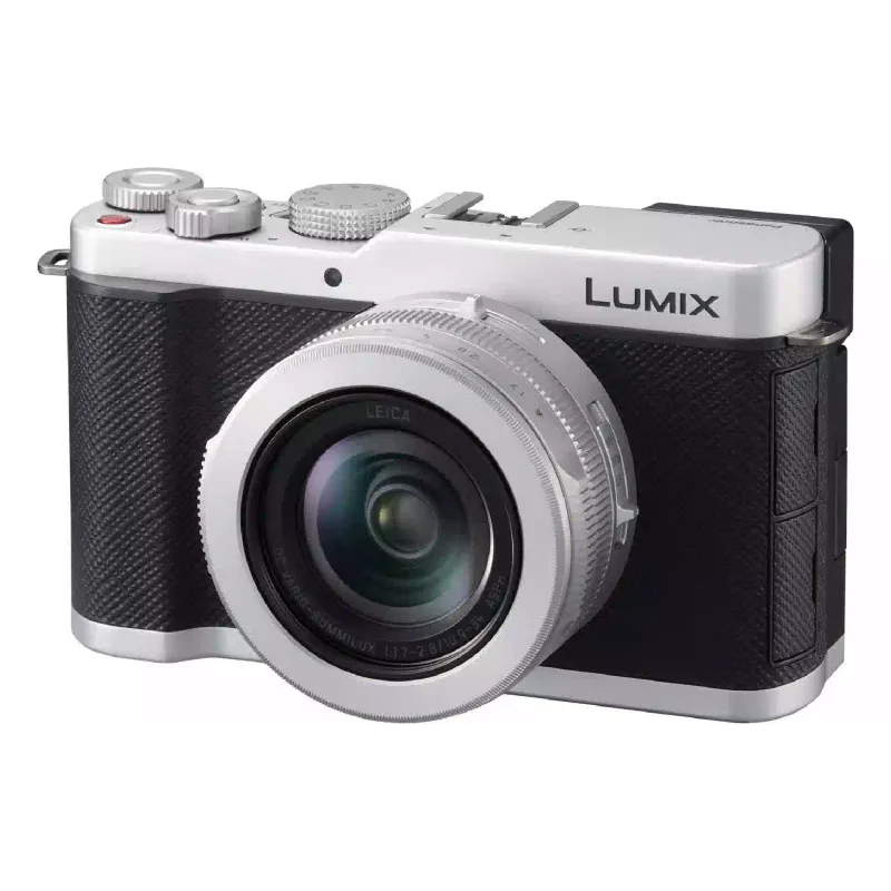Κάμερα Panasonic, Silver (DC-L10E-S)