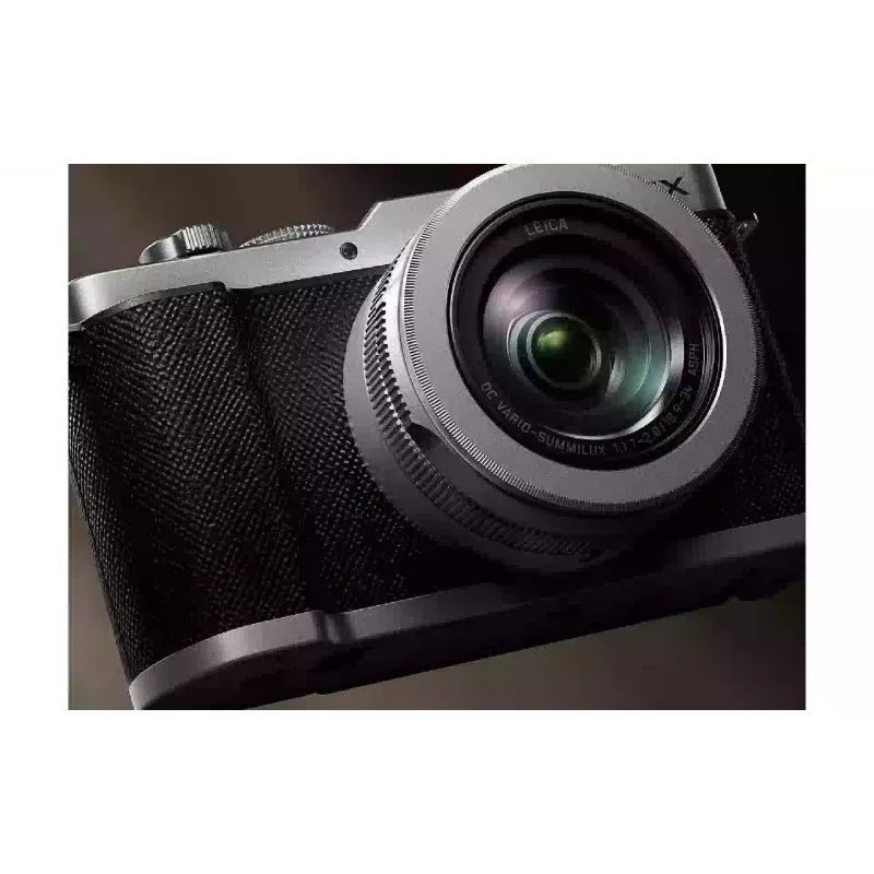 Κάμερα Panasonic, Silver (DC-L10E-S)