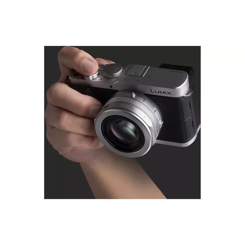 Κάμερα Panasonic, Silver (DC-L10E-S)