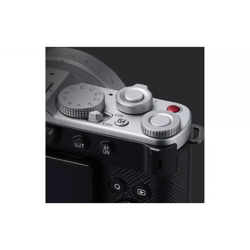 Κάμερα Panasonic, Silver (DC-L10E-S)