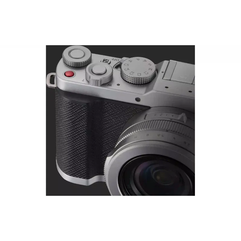 Κάμερα Panasonic, Silver (DC-L10E-S)